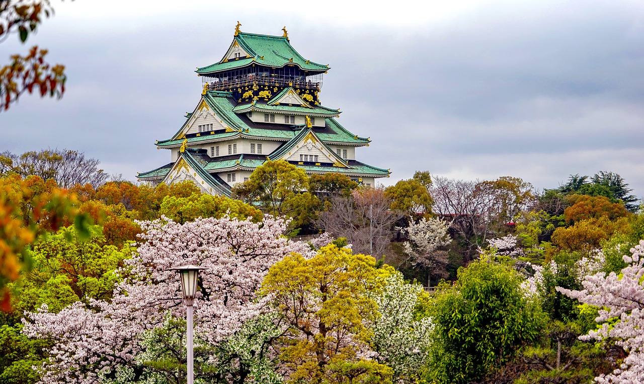 新乡追寻梦想的起点：为何选择高考后去日本留学？